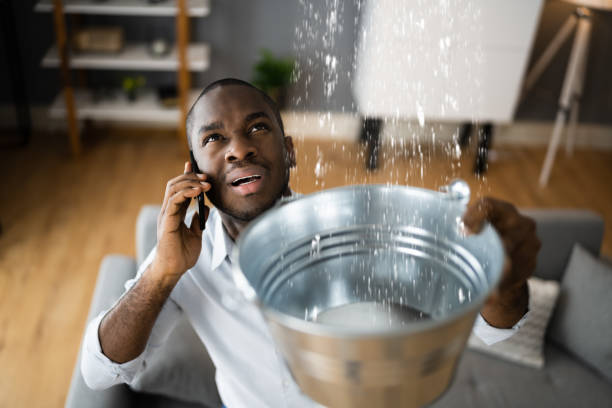 Best Commercial water damage restoration  in Cleona, PA