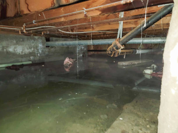 Best Water damage restoration near me  in Cleona, PA