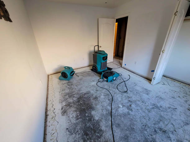Best Carpet water damage restoration  in Cleona, PA