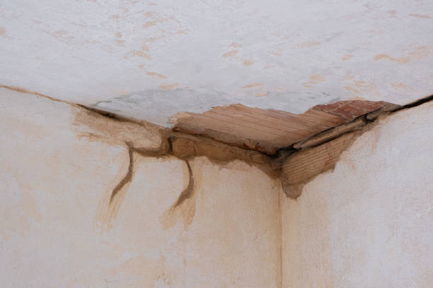 Best Professional water damage repair  in Cleona, PA