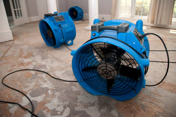 Best 24/7 water damage repair  in Cleona, PA
