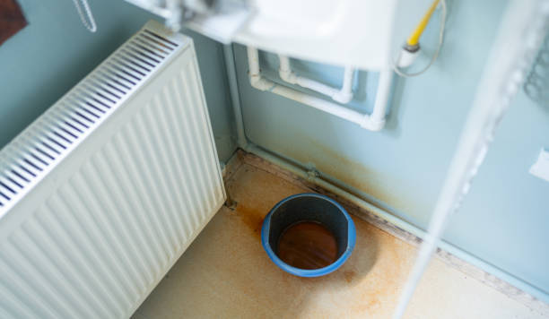 Best Ceiling water damage repair  in Cleona, PA